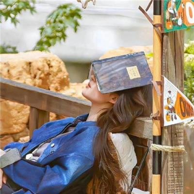 儿女英雄传